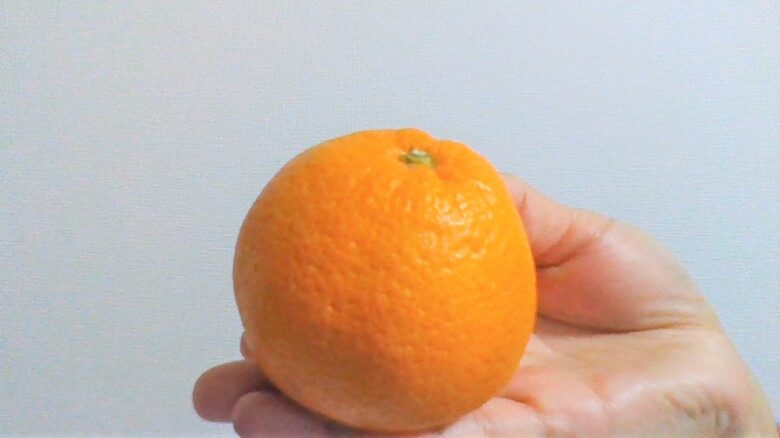 つわりがきっかけ。みかんが食べたい。柑橘系を好きになったらお腹の子は男の子