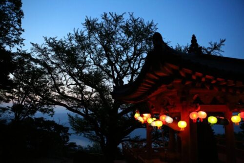 木材選びシリーズがきっかけ。ケヤキの特徴は独特の木目が魅力で日本の樹の代表