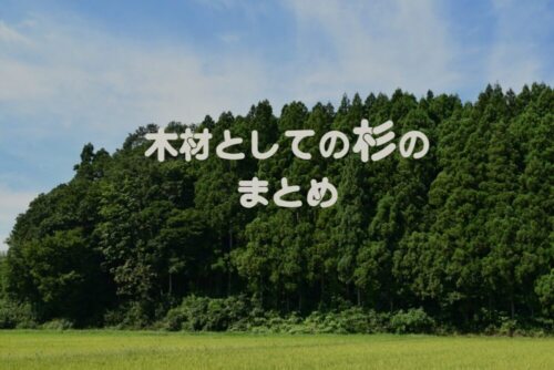 木材選びシリーズがきっかけ。身近にあるけどよく知らない「スギ」の魅力と特徴